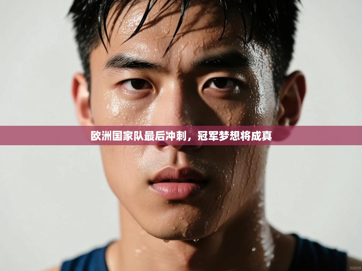 欧洲国家队最后冲刺,冠军梦想将成真 第2张