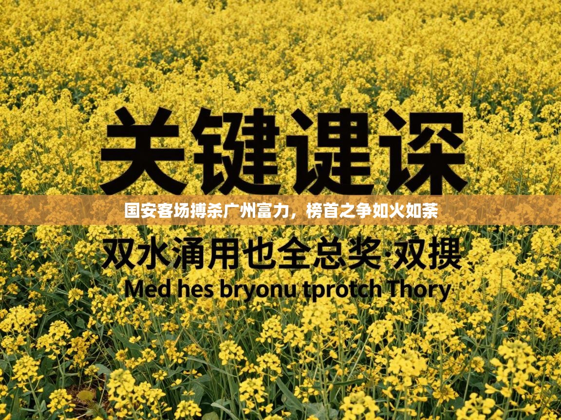 国安客场搏杀广州富力，榜首之争如火如荼  第2张