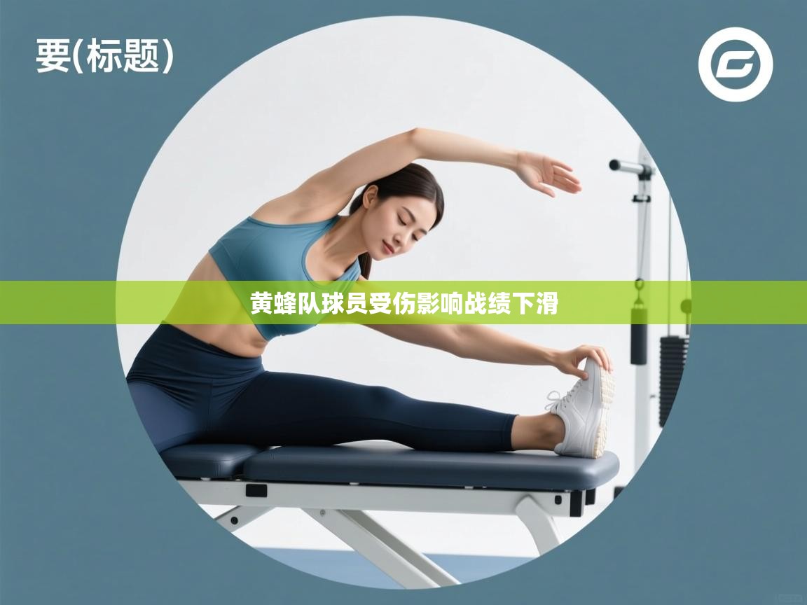 黄蜂队球员受伤影响战绩下滑 第2张