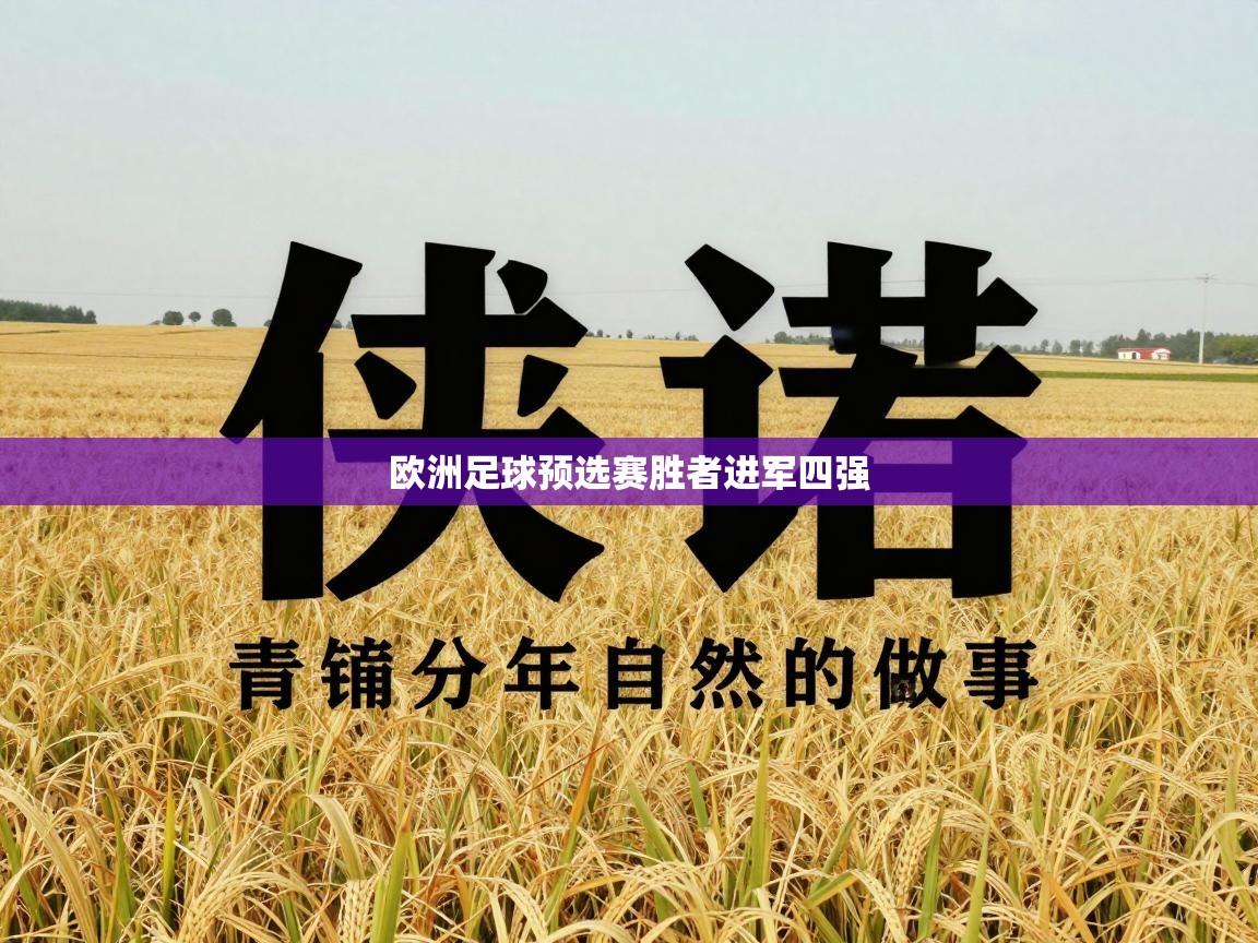 欧洲足球预选赛胜者进军四强  第1张